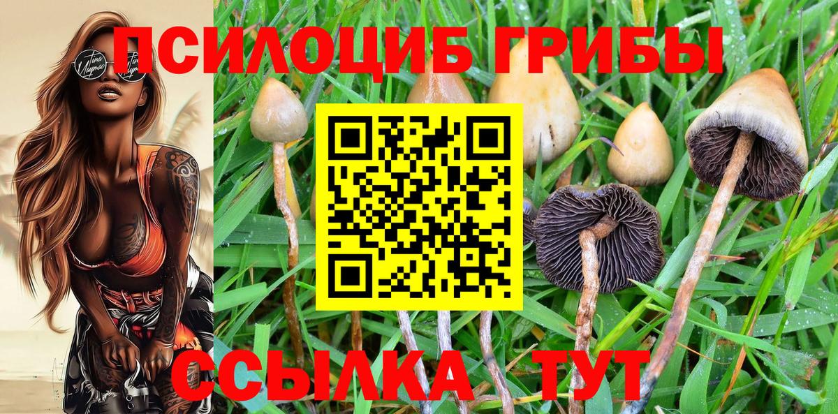 Галлюциногенные грибы GOLDEN TEACHER Тавда